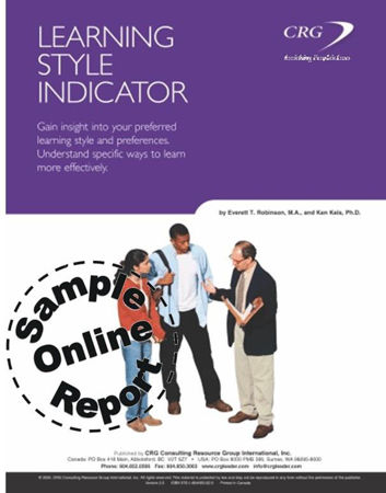 Picture of Learning Style Indicator Online Sample Report