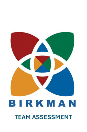 Picture of Birkman Team Assessment and Development