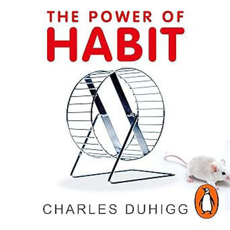 Picture of The Power of Habit: Why We Do What We Do, and How to Change