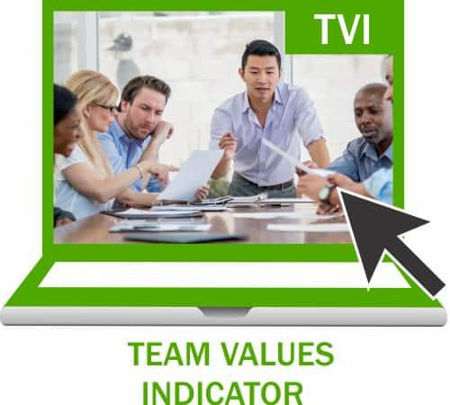 Picture of Team Values Indicator Up to 10 Team Members