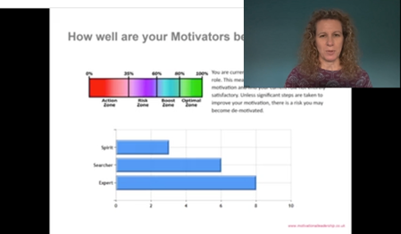 Picture of Motivational Map® PLUS a Personal 60 minute Debrief