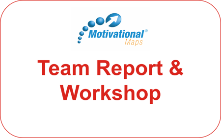 Picture of Team Motivational Map®